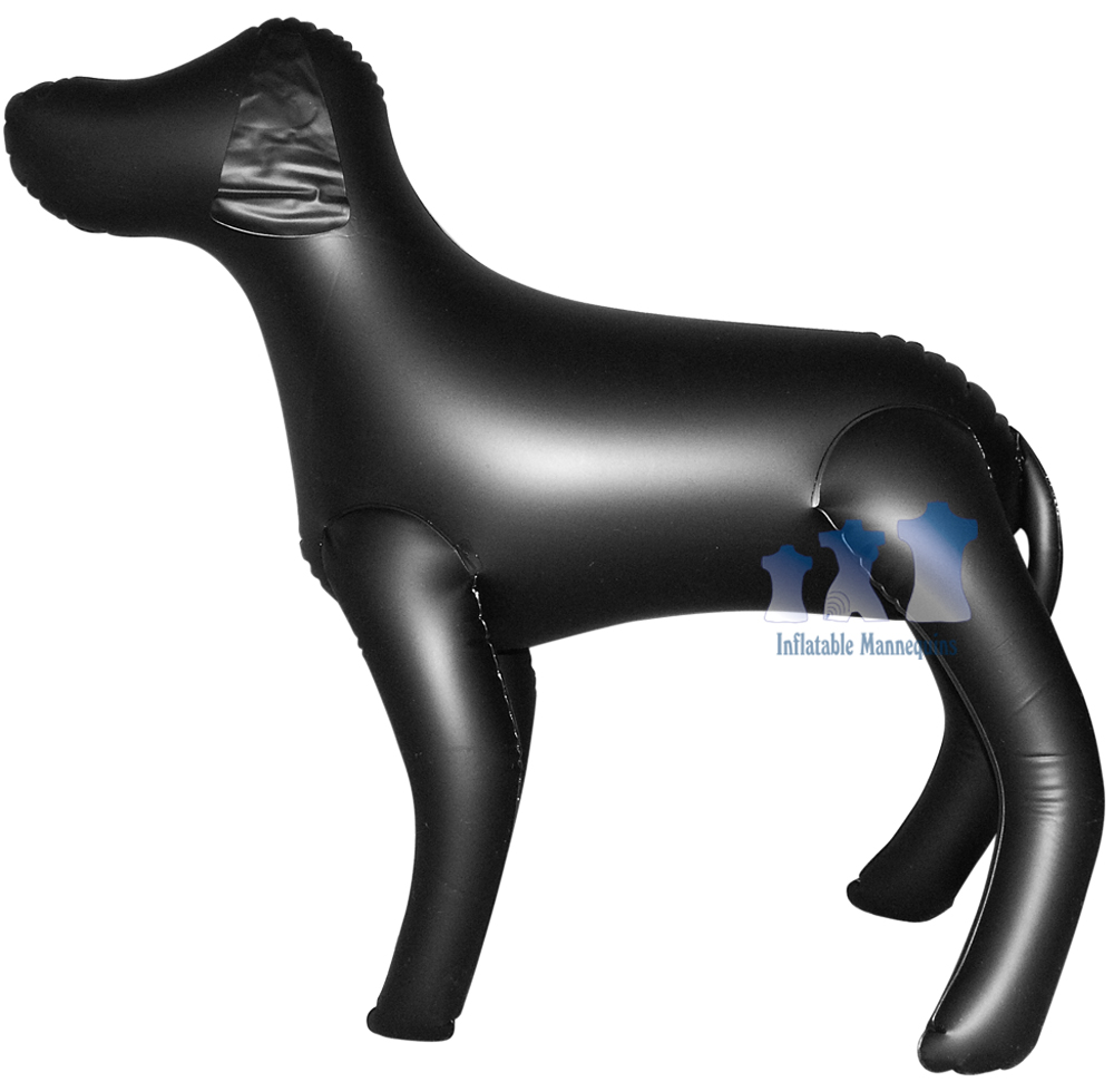 inflatable dog ball